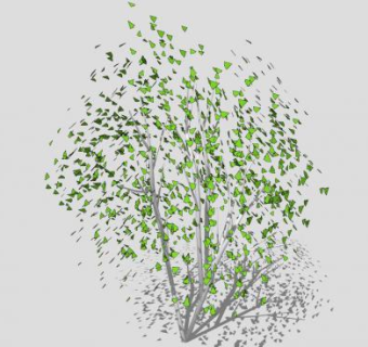 3D白桦树SU模型下载_sketchup草图大师SKP模型