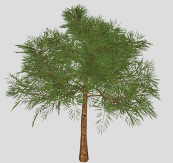 3D精美树木SU模型下载_sketchup草图大师SKP模型