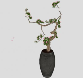 树桩盆景花盆植物SU模型下载_sketchup草图大师SKP模型