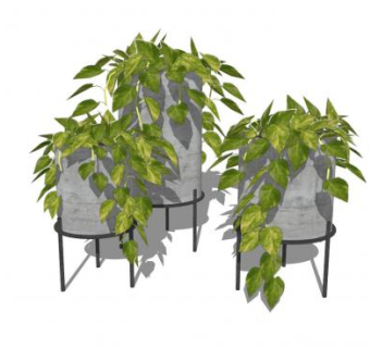 铁艺花架盆栽植物SU模型下载_sketchup草图大师SKP模型