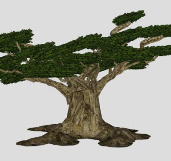 大榕树景观树SU模型下载_sketchup草图大师SKP模型