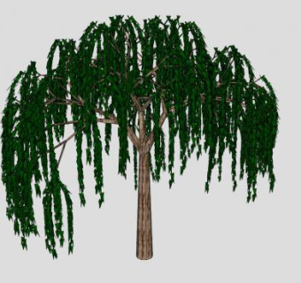 3D柳树SU模型下载_sketchup草图大师SKP模型