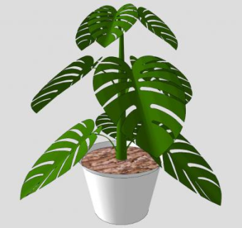 龟背竹植物盆栽SU模型下载_sketchup草图大师SKP模型