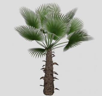 风景树粽树SU模型下载_sketchup草图大师SKP模型