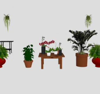 多个花盆盆栽植物SU模型下载_sketchup草图大师SKP模型