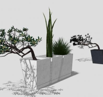 特色花盆植物盆栽盆景SU模型下载_sketchup草图大师SKP模型