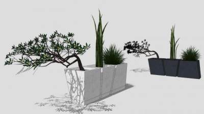 特色花盆植物盆栽盆景SU模型下载_sketchup草图大师SKP模型