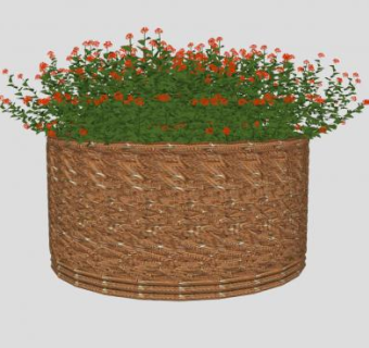 花筐植物SU模型下载_sketchup草图大师SKP模型