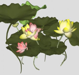 荷花莲花荷叶精美植物SU模型下载_sketchup草图大师SKP模型