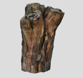 木树桩被砍伐的树SU模型下载_sketchup草图大师SKP模型