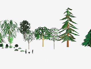 树木灌木植物SU模型下载_sketchup草图大师SKP模型