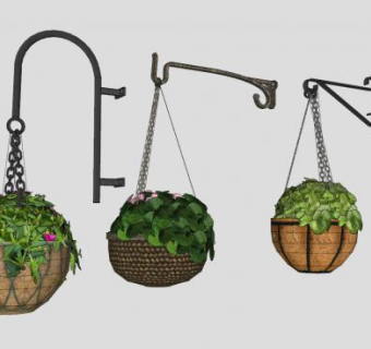 挂篮盆栽植物SU模型下载_sketchup草图大师SKP模型