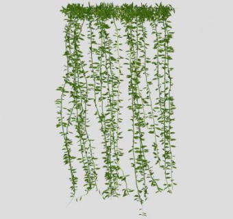 爬山虎爬藤植物SU模型下载_sketchup草图大师SKP模型
