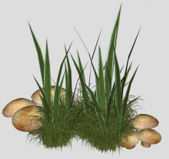 小蘑菇和小草SU模型下载_sketchup草图大师SKP模型