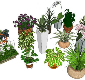 观花观叶盆栽植物SU模型下载_sketchup草图大师SKP模型