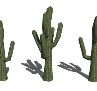 沙漠仙人掌SU模型下载_sketchup草图大师SKP模型