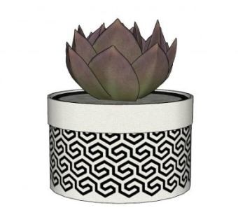 多肉植物盆栽摆件SU模型下载_sketchup草图大师SKP模型