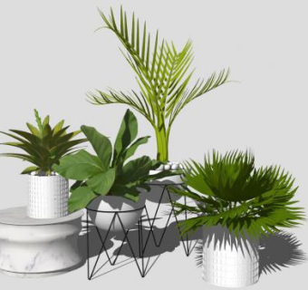 植物花盆盆栽花架SU模型下载_sketchup草图大师SKP模型