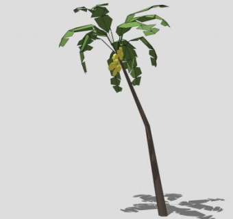 椰子树热带植物SU模型下载_sketchup草图大师SKP模型