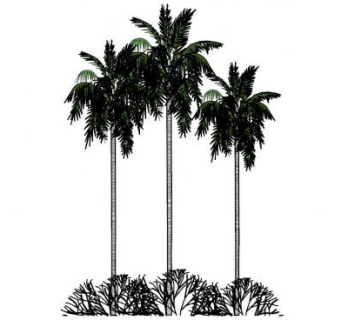 三棵椰子树SU模型下载_sketchup草图大师SKP模型