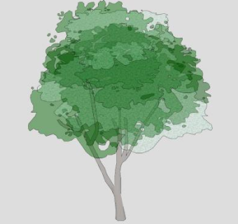 2D背景树SU模型下载_sketchup草图大师SKP模型