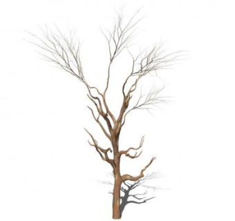 枯树枝树木SU模型下载_sketchup草图大师SKP模型