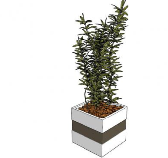花盆盆景植物sketchup模型下载_sketchup草图大师SKP模型