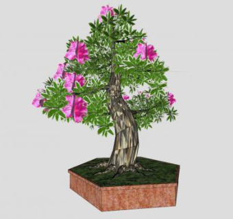 松盆景盆栽植物SU模型下载_sketchup草图大师SKP模型