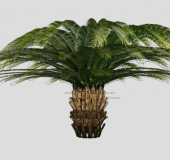 盆景铁树开花SU模型下载_sketchup草图大师SKP模型