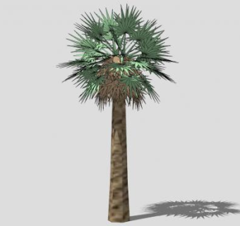 热带植物椰子树SU模型下载_sketchup草图大师SKP模型
