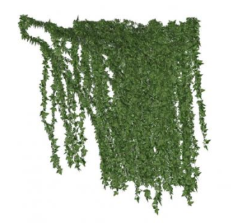 爬山虎蔓藤植物SU模型下载_sketchup草图大师SKP模型
