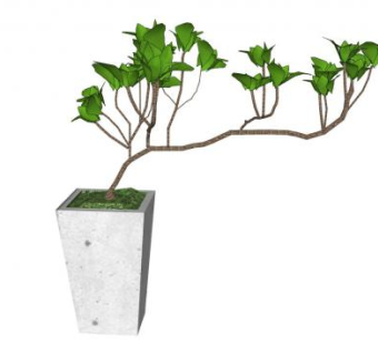 家居植栽花盆盆景SU模型下载_sketchup草图大师SKP模型