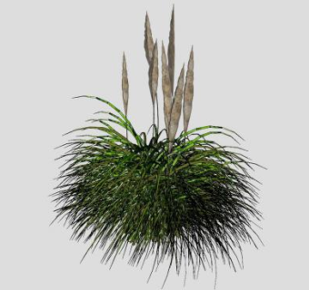 小草丛植物SU模型下载_sketchup草图大师SKP模型