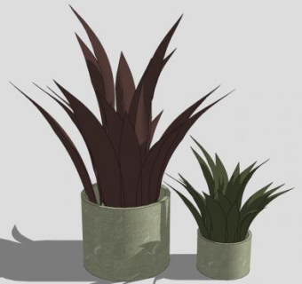 观叶植物小盆栽SU模型下载_sketchup草图大师SKP模型