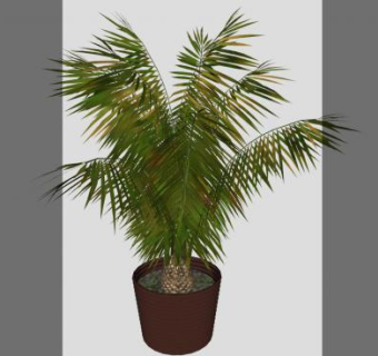 观树植物室内盆栽SU模型下载_sketchup草图大师SKP模型