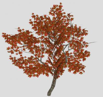 3D枫树景观树SU模型下载_sketchup草图大师SKP模型
