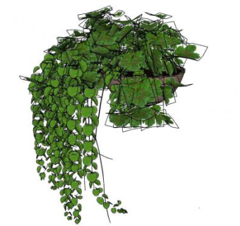 花盆吊篮植物SU模型下载_sketchup草图大师SKP模型