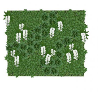 植物墙装饰SU模型下载_sketchup草图大师SKP模型