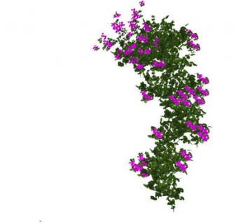 紫色开花藤蔓植物SU模型下载_sketchup草图大师SKP模型