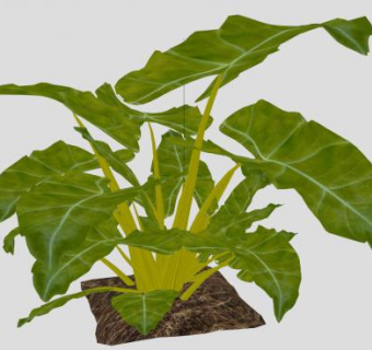 仿真绿植落地盆景SU模型下载_sketchup草图大师SKP模型