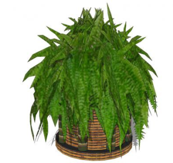 竹篮盆栽盆景植物SU模型下载_sketchup草图大师SKP模型