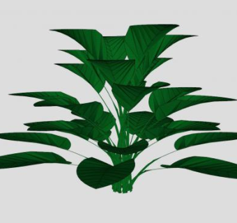 竹玉灌木大叶子植物SU模型下载_sketchup草图大师SKP模型