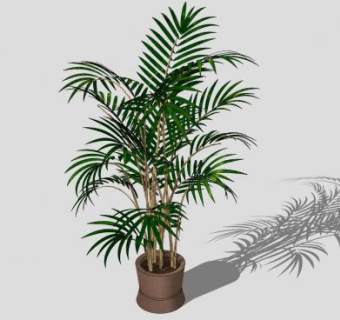 盆栽景观棕榈树SU模型下载_sketchup草图大师SKP模型