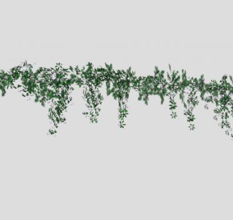 蔓藤植物花爬藤绿叶SU模型下载_sketchup草图大师SKP模型