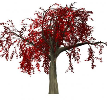 2D树木红色叶子树SU模型下载_sketchup草图大师SKP模型