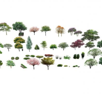 一些灌木植物集合SU模型下载_sketchup草图大师SKP模型