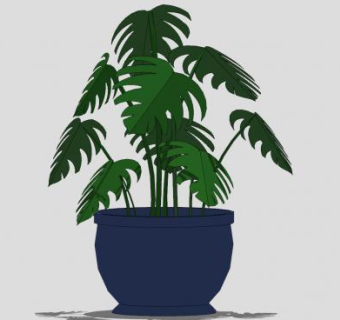 龟背竹植物盆栽sketchup模型下载_sketchup草图大师SKP模型