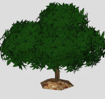 3D小树木SU模型下载_sketchup草图大师SKP模型