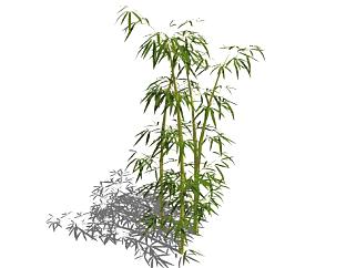 <em>直立</em>的竹子植物SU模型下载_sketchup草图大师SKP模型