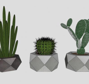 仙人掌盆栽SU模型下载_sketchup草图大师SKP模型